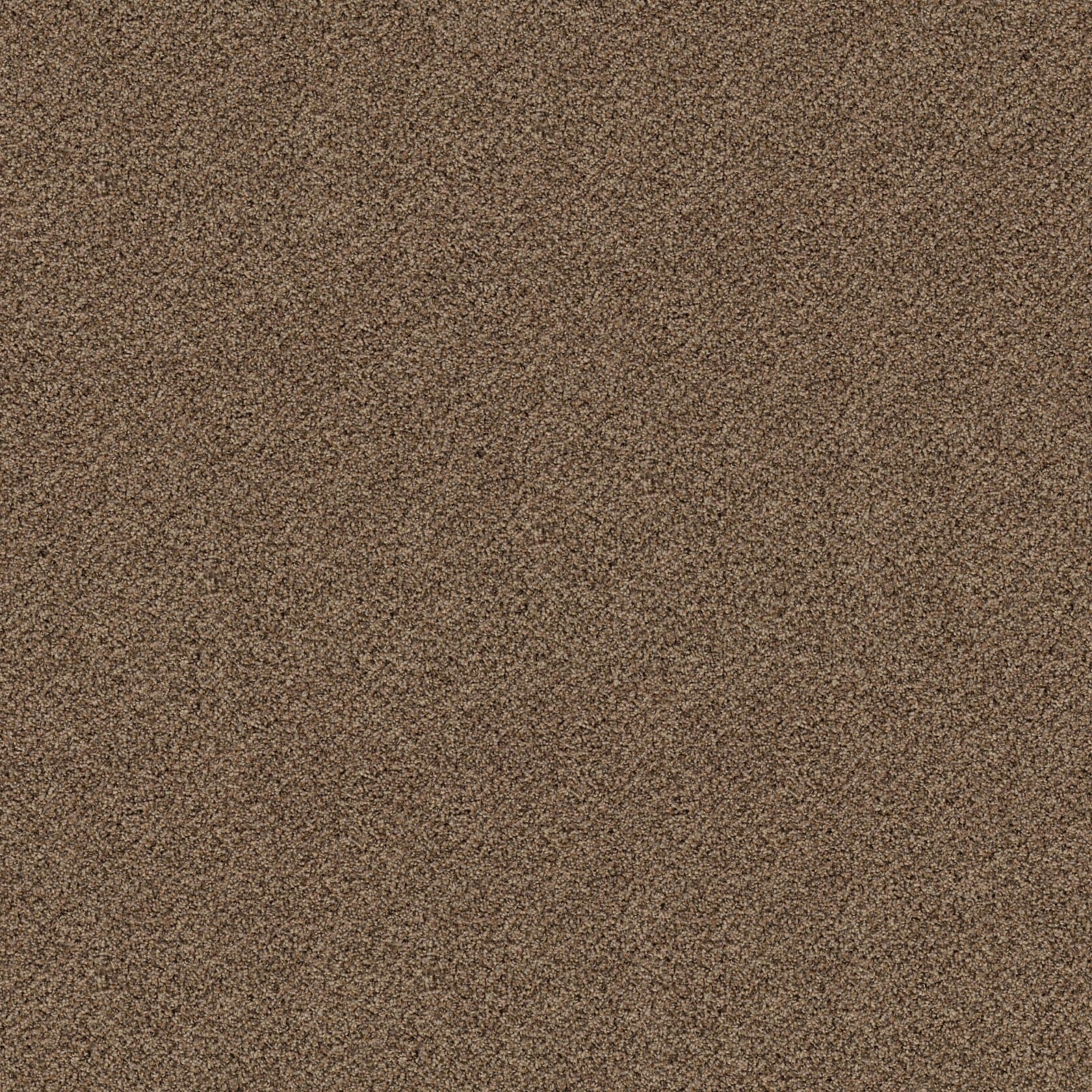 Color: Basketry