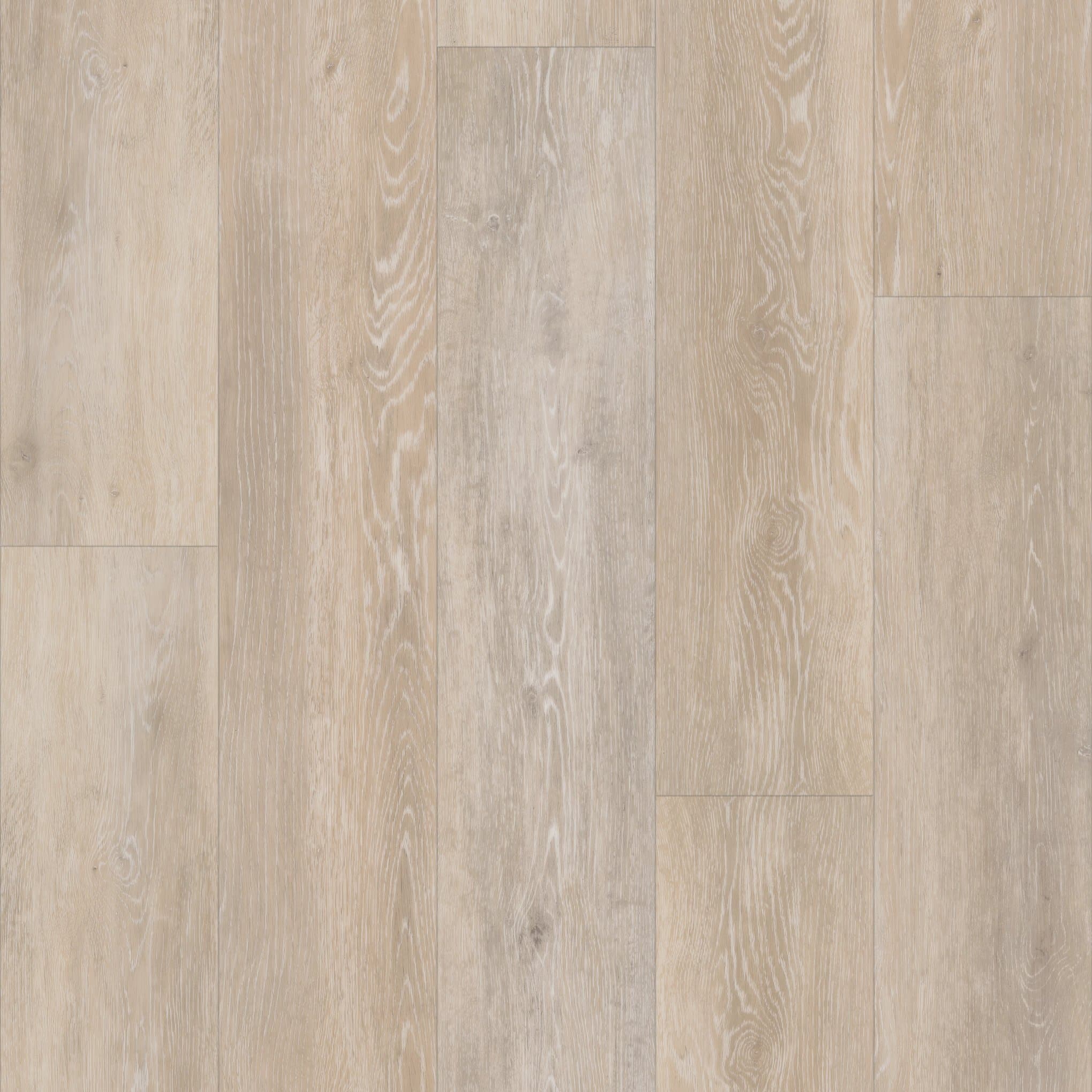 Ivory Coast Oak