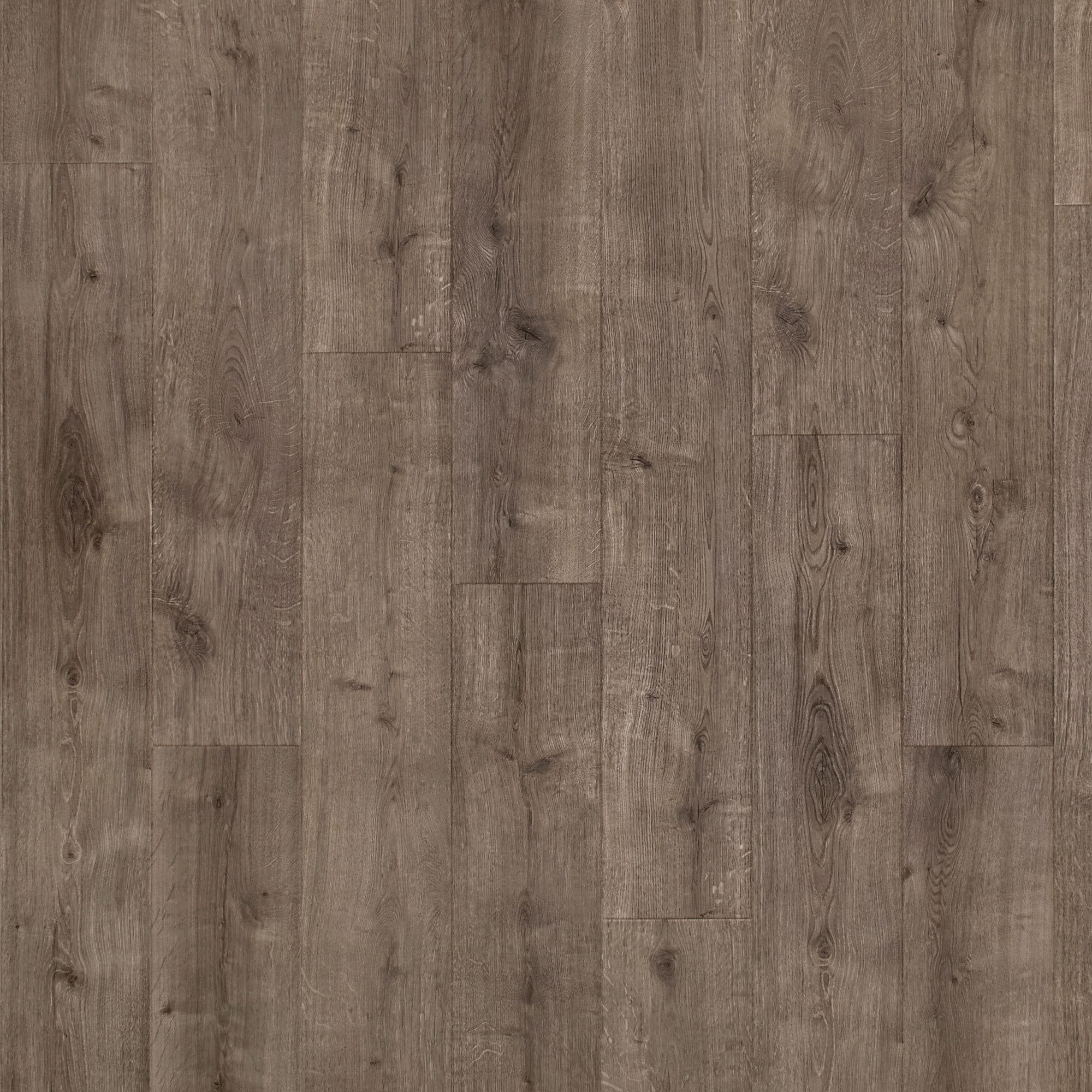 Oyster Oak