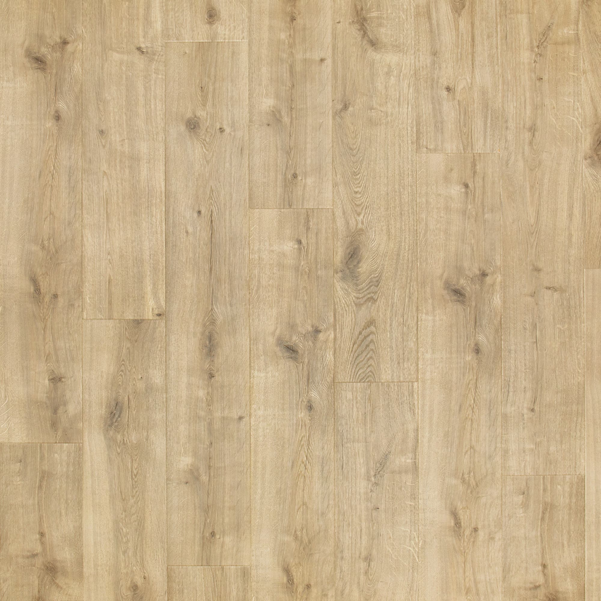 Fresh Grain Oak